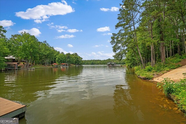 85 Geralds Pt, Wedowee, AL 36278 - water view