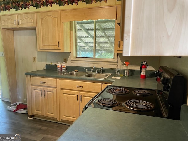 266 Ridge Trl, Riverdale, GA 30274 - kitchen with stainless steel electric range oven, dark wood-type flooring, light brown cabinetry, and dark countertops
