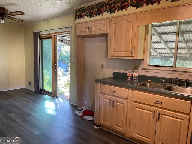 266 Ridge Trl, Riverdale, GA 30274 - kitchen with dark countertops, a textured ceiling, a ceiling fan, dark wood finished floors, and ornamental molding