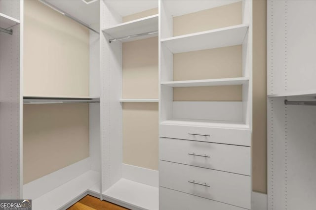 411 Hickory Fairway Ct, Woodstock, GA 30188 - view of spacious closet