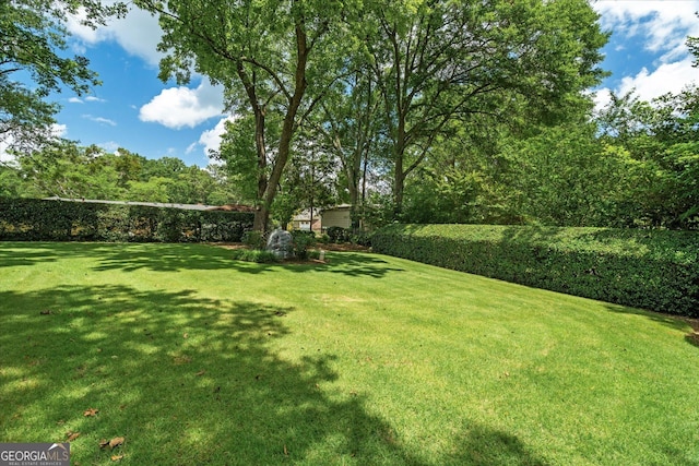 106 Lakeview Dr, Carrollton, GA 30117 - view of green lawn