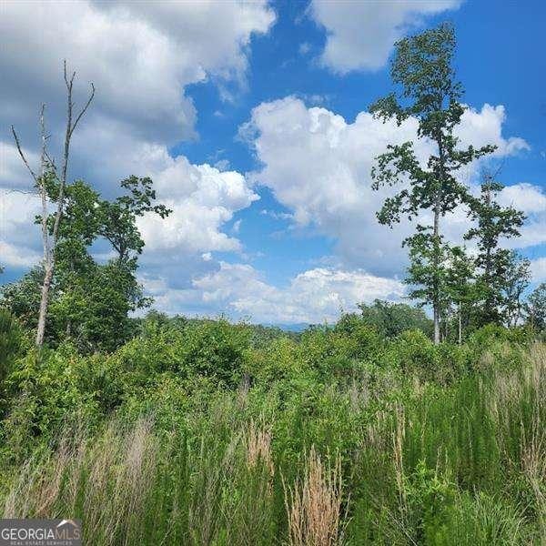 0 Woodstone Trl, Ellijay, GA 30540