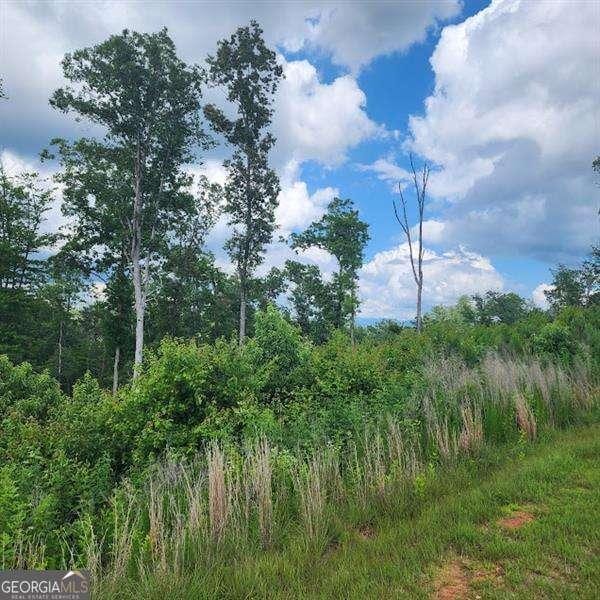0 Woodstone Trl, Ellijay, GA 30540