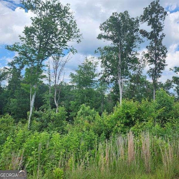 0 Woodstone Trl, Ellijay, GA 30540