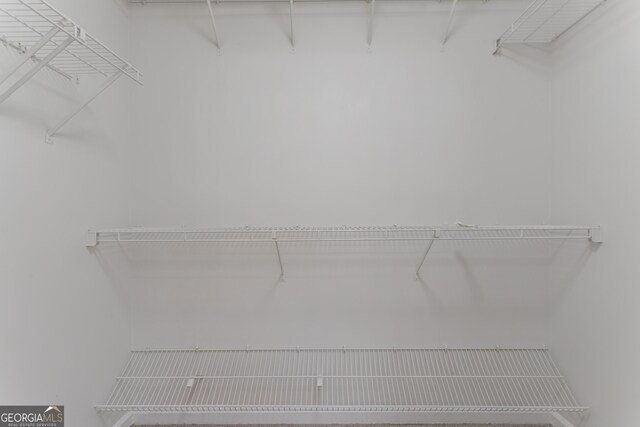 5674 Mountain Cres, Stone Mountain, GA 30087 - view of walk in closet