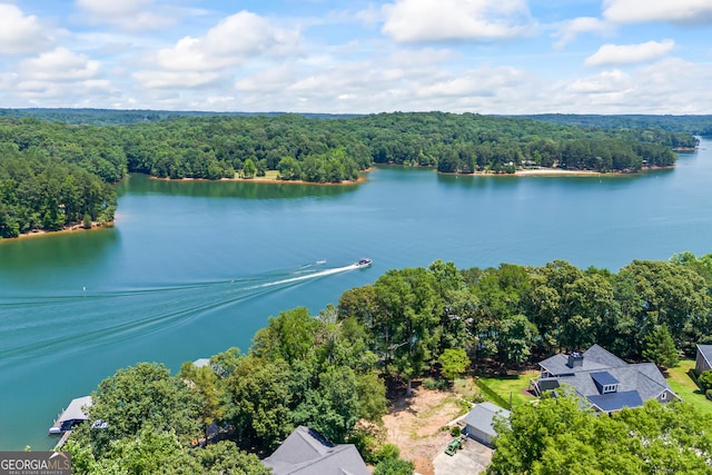 152 Lace Field Ln, Lavonia, GA 30553 - aerial view of a forest and a large body of water