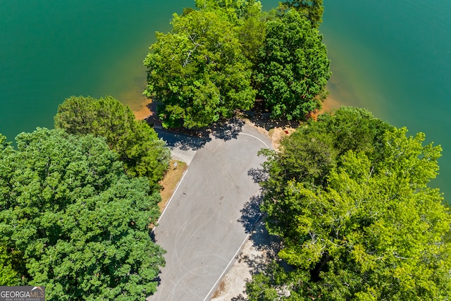 152 Lace Field Ln, Lavonia, GA 30553 - aerial view