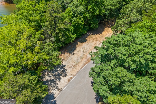 152 Lace Field Ln, Lavonia, GA 30553 - aerial view of property and surrounding area with a large body of water