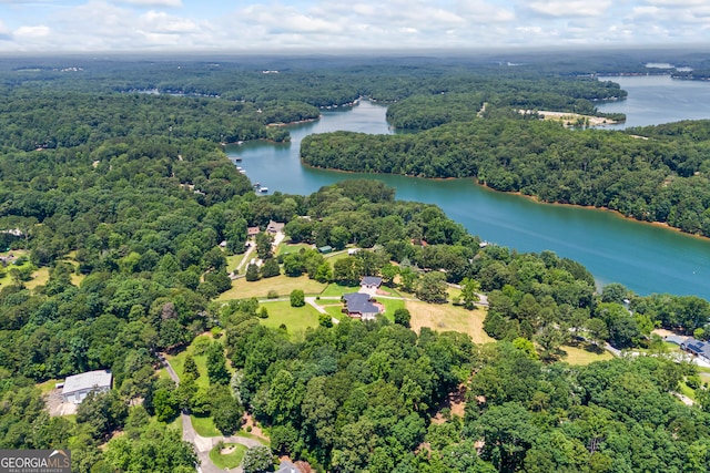 152 Lace Field Ln, Lavonia, GA 30553 - aerial view of a forest and a nearby body of water