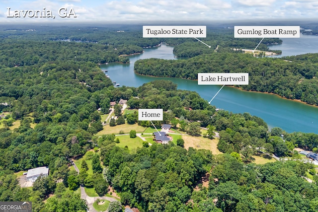152 Lace Field Ln, Lavonia, GA 30553 - aerial view of a heavily wooded area and a nearby body of water