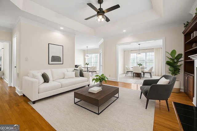 152 Lace Field Ln, Lavonia, GA 30553 - living room featuring plenty of natural light, a raised ceiling, a ceiling fan, light wood-style floors, and recessed lighting