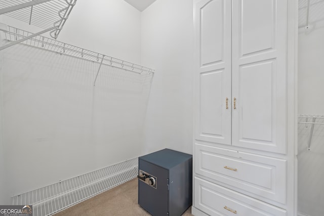 152 Lace Field Ln, Lavonia, GA 30553 - walk in closet featuring carpet