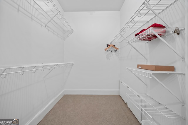 152 Lace Field Ln, Lavonia, GA 30553 - spacious closet featuring carpet floors