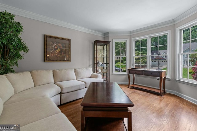 2864 Wyndcliff Ct, Marietta, GA 30066 - living room with ornamental molding and light wood-type flooring
