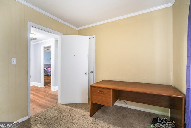 1083 Hampton Rd, Hampton, GA 30228 - unfurnished office with ornamental molding and light carpet