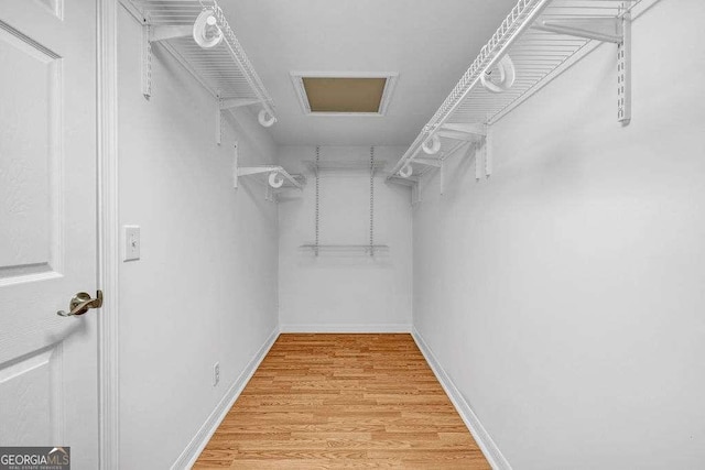 2585 Regency Dr E, Tucker, GA 30084 - walk in closet with light wood-style flooring