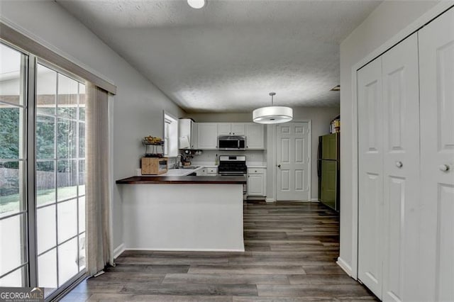 5385 Spotted Fawn Ct, Suwanee, GA 30024 - kitchen featuring appliances with stainless steel finishes, white cabinetry, a peninsula, dark wood-style floors, and a textured ceiling