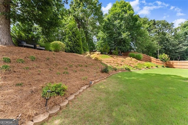 2213 Independence Ln, Buford, GA 30519 - view of yard