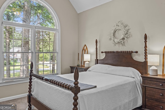 1120 Liberty Ln, Bogart, GA 30622 - bedroom with lofted ceiling and carpet