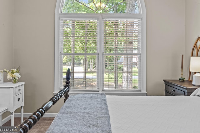 1120 Liberty Ln, Bogart, GA 30622 - bedroom with carpet flooring