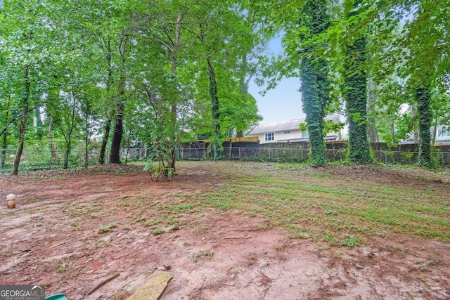 1024 Stone Mill Run, Lawrenceville, GA 30046 - view of yard