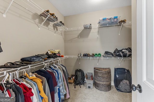 206 Barnyard Way, Perry, GA 31069 - spacious closet featuring carpet