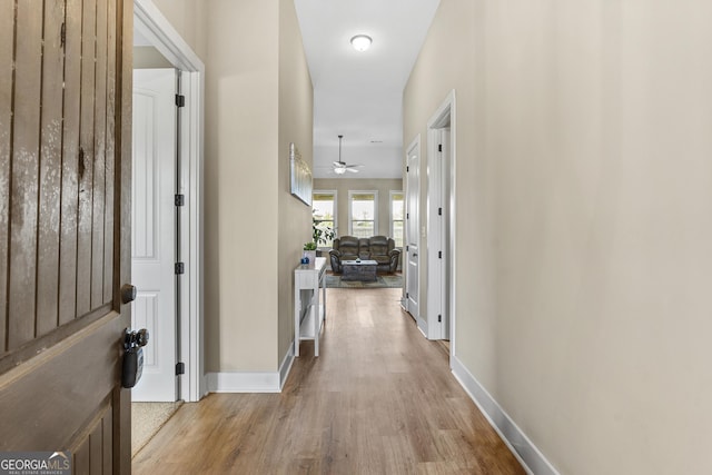 206 Barnyard Way, Perry, GA 31069 - hall featuring light wood-type flooring and baseboards