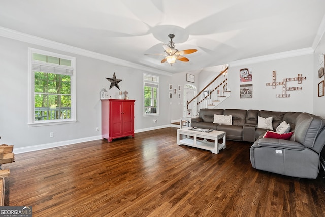 507 Wintergreen Way, Canton, GA 30115 - living room featuring wood finished floors, stairs, a ceiling fan, and ornamental molding