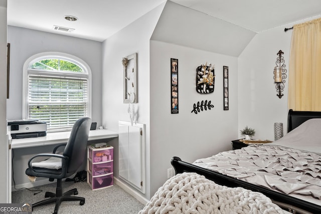 507 Wintergreen Way, Canton, GA 30115 - bedroom with an office area and carpet