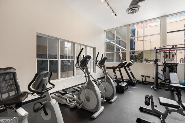 384 Ralph Mcgill Blvd NE Unit 123, Atlanta, GA 30312 - workout area with plenty of natural light and rail lighting