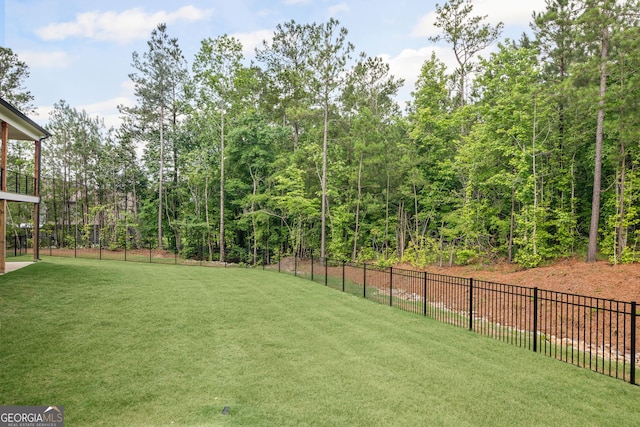 40 Fernbank Way, Newnan, GA 30265 - view of yard