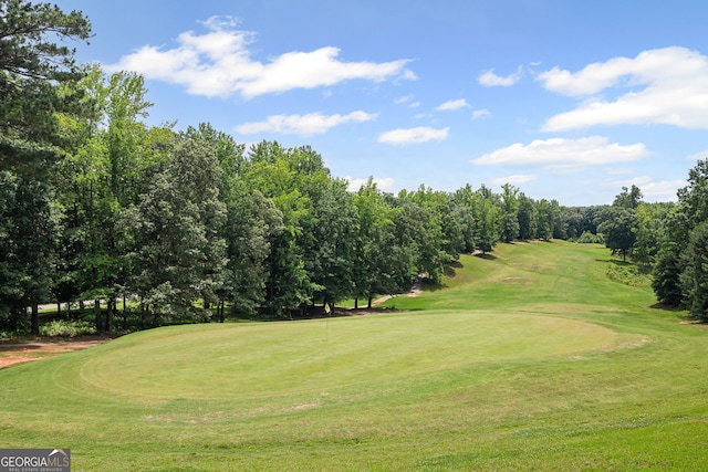 40 Fernbank Way, Newnan, GA 30265 - view of property's community with golf course view, view of scattered trees, and a lawn