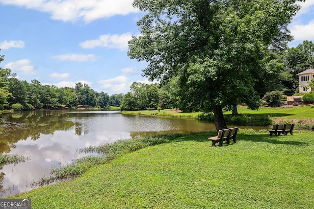 40 Fernbank Way, Newnan, GA 30265 - water view