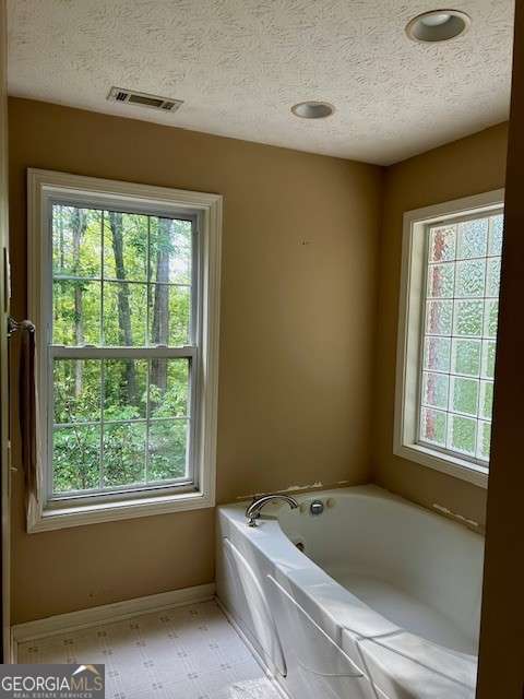 370 Butler Path, Dallas, GA 30132 - bathroom with healthy amount of natural light, a textured ceiling, and a garden tub