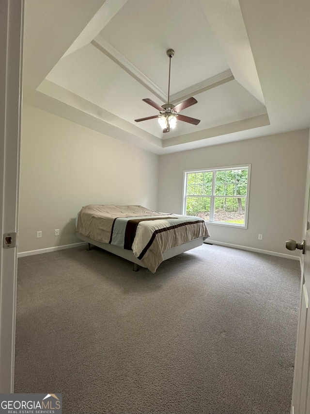 48 Narrow Ln, Dahlonega, GA 30533 - bedroom featuring a tray ceiling, carpet flooring, and a ceiling fan
