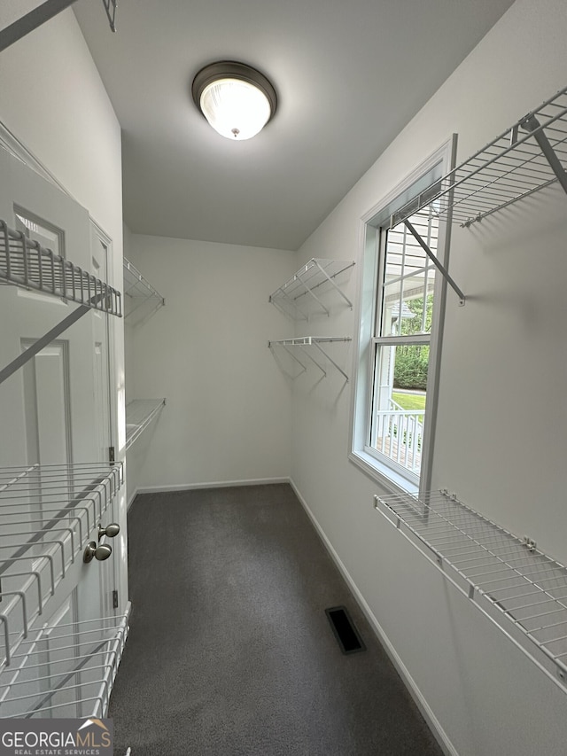 48 Narrow Ln, Dahlonega, GA 30533 - walk in closet with carpet flooring
