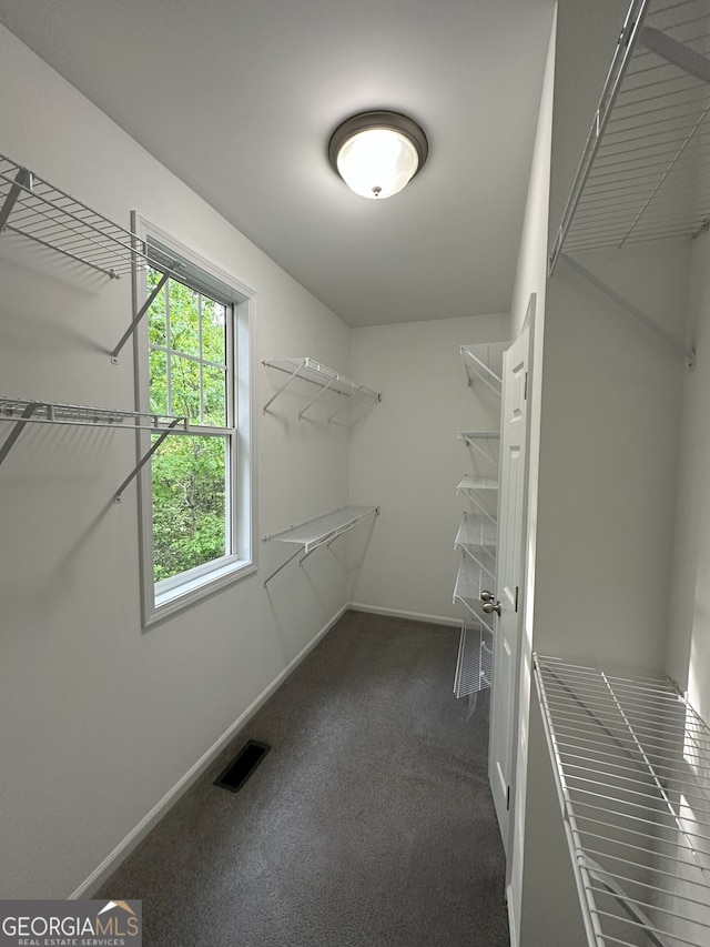 48 Narrow Ln, Dahlonega, GA 30533 - spacious closet featuring carpet