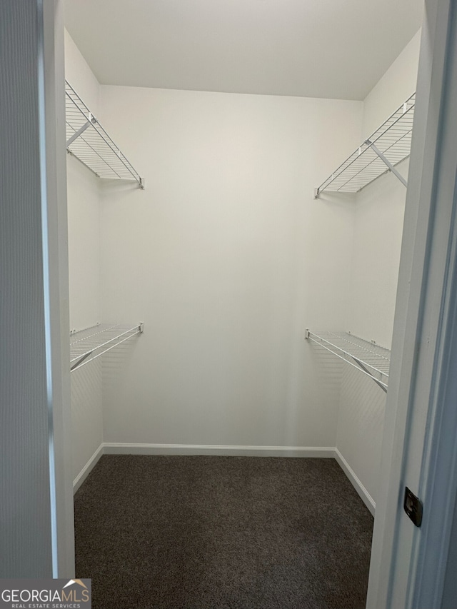 48 Narrow Ln, Dahlonega, GA 30533 - walk in closet featuring carpet flooring