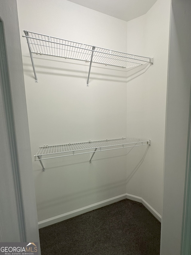 48 Narrow Ln, Dahlonega, GA 30533 - spacious closet featuring carpet flooring