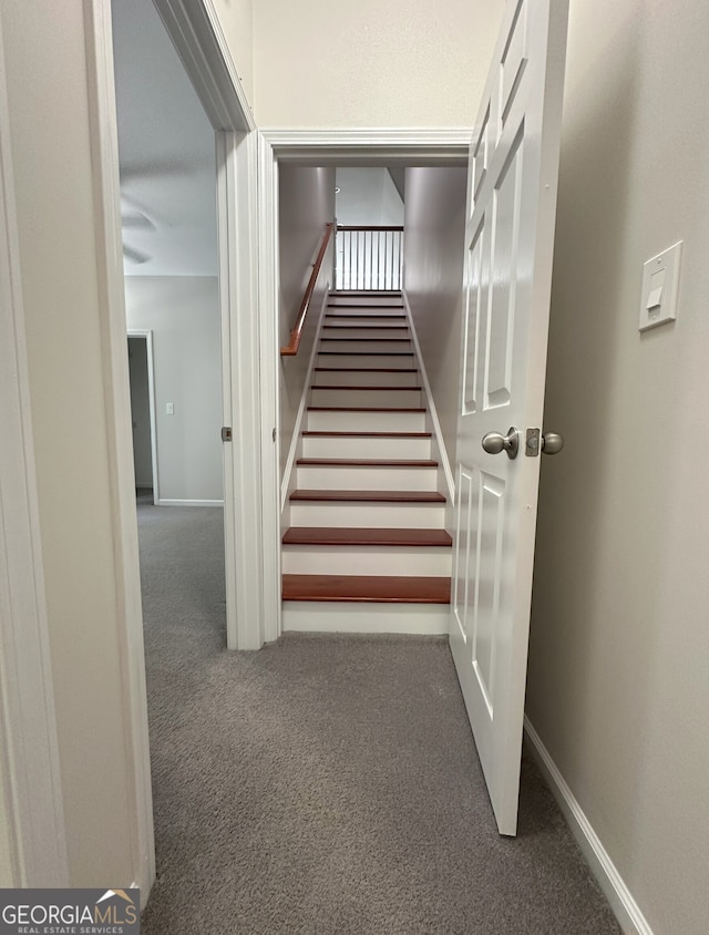 48 Narrow Ln, Dahlonega, GA 30533 - staircase featuring carpet and baseboards