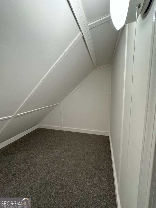 48 Narrow Ln, Dahlonega, GA 30533 - walk in closet with carpet floors and lofted ceiling