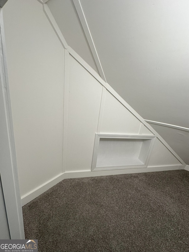 48 Narrow Ln, Dahlonega, GA 30533 - walk in closet with carpet flooring