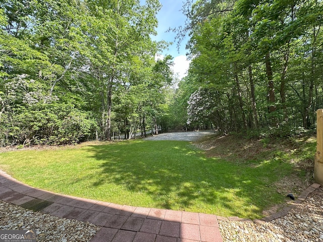 48 Narrow Ln, Dahlonega, GA 30533 - view of grassy yard