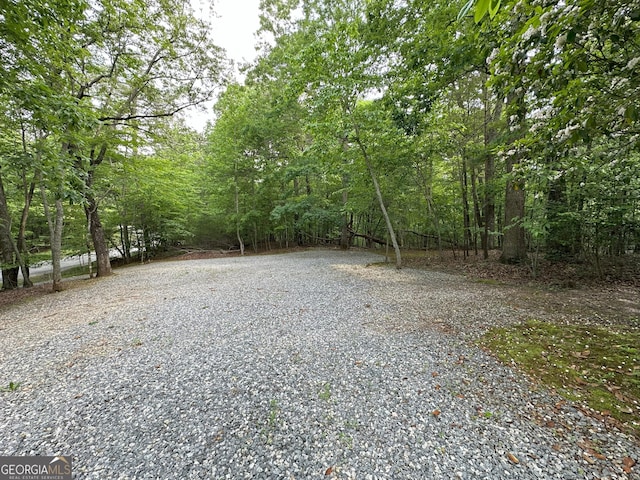 48 Narrow Ln, Dahlonega, GA 30533 - view of yard featuring a view of trees and gravel driveway