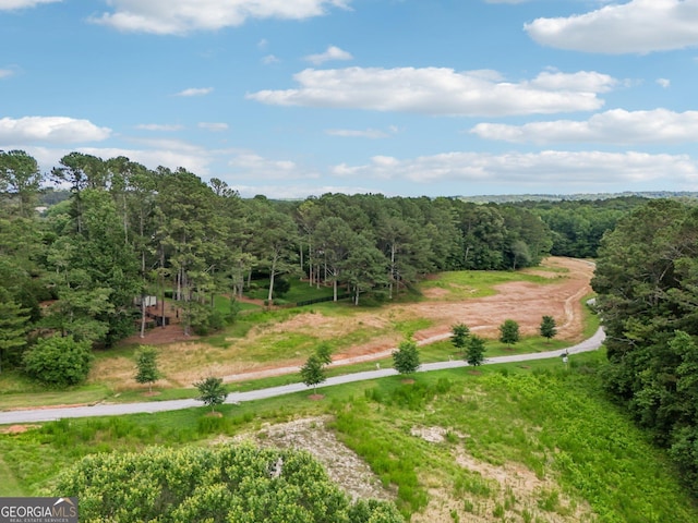 15305 Highgrove Rd, Milton, GA 30004 - bird's eye view of a heavily wooded area