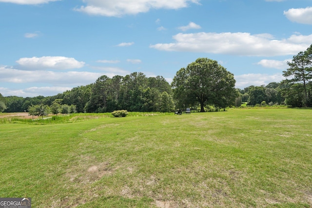 15305 Highgrove Rd, Milton, GA 30004 - view of green lawn