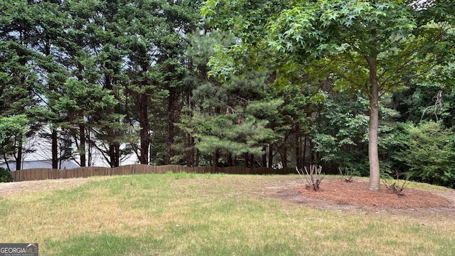 3066 Gem Creek Rd, Buford, GA 30519 - view of yard