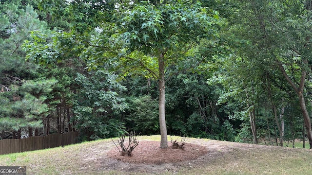 3066 Gem Creek Rd, Buford, GA 30519 - view of yard with a view of trees