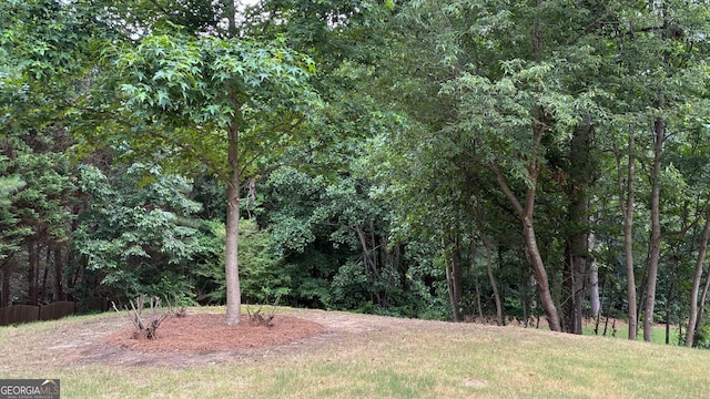 3066 Gem Creek Rd, Buford, GA 30519 - view of grassy yard with a wooded view