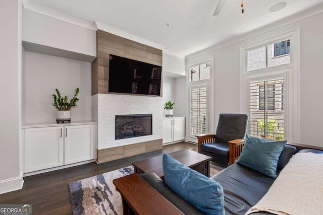 18 Peachtree Ave NE Unit 5, Atlanta, GA 30305 - living area featuring ornamental molding, a fireplace, a ceiling fan, and dark wood-style floors